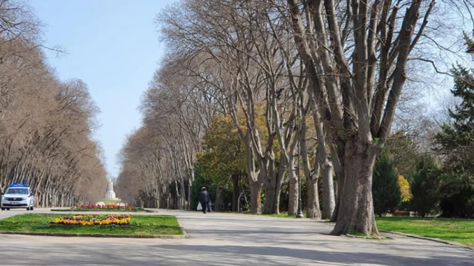 Мъж е намушкан многократно във Варна, с опасност за живота е