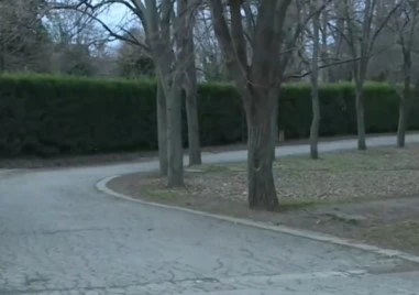 Мъжът, задържан за нападението над Васко Моржа във Варна, е излязъл от затвора преди броени дни