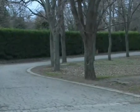 Мъжът, задържан за нападението над Васко Моржа във Варна, е излязъл от затвора преди броени дни