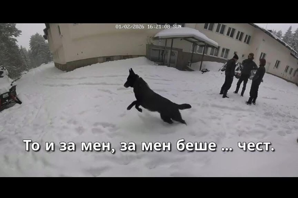 Експерти говорят за мотивите и неясните моменти в записите от случая 