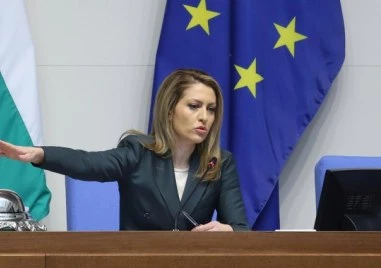 Парламентът ще изслуша представители на МВР и министъра на околната