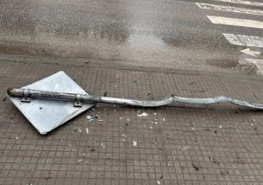 Кола се заби в пътен знак и отсече дърво до детска градина в Пловдив