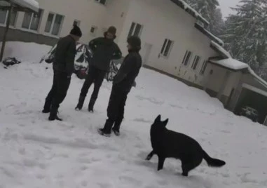 Случаят Петрохан не е приключен, много въпроси търсят своите отговори