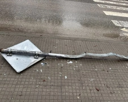 Кола се заби в пътен знак и отсече дърво до детска градина в Пловдив