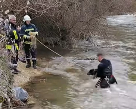 Пожарникари спасиха ловно куче от удавяне в Родопите