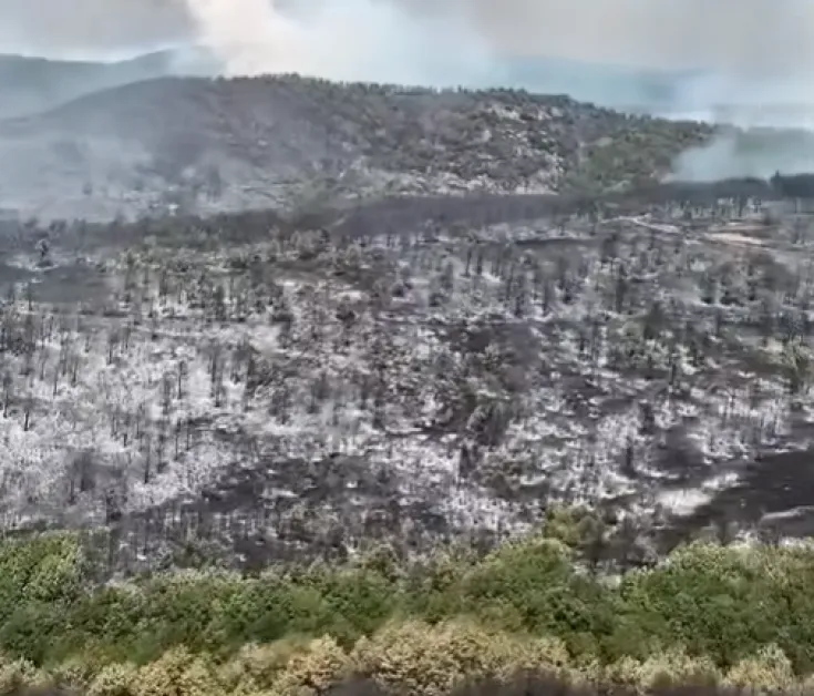 Започва разчистването на Пирин след големия пожар