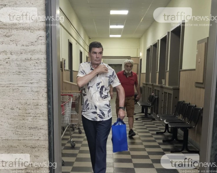 Осъдиха собственика на питбула, разкъсал котка в центъра на Пловдив