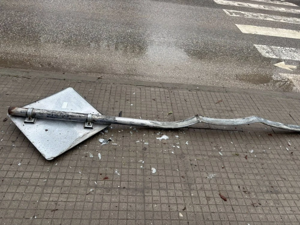 Кола се заби в пътен знак и отсече дърво до детска градина в Пловдив