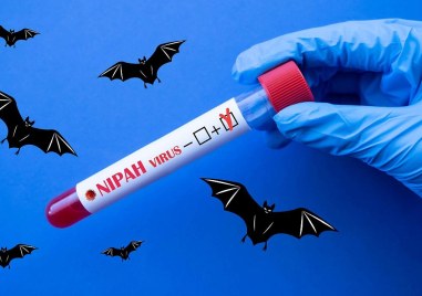 Индийски здравен работник заразил се със смъртоносния вирус Нипа през