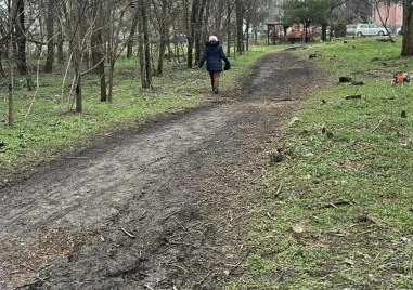 Нова пешеходна алея ще пресича Лаута, но паркът е покъртително състояние