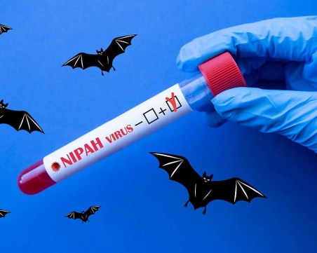 75% смъртност: Индийска медицинска сестра, заразена с вируса Нипа, почина