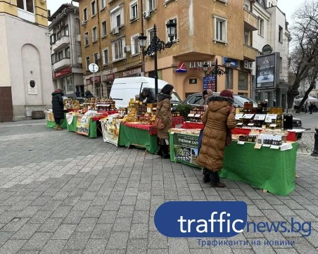 Пчеларите в Пловдив: Няма да вдигаме цените на меда ВИДЕО