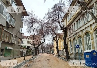 Дърветата по улица Цанко Дюстабанов са силно компрометирани и създават