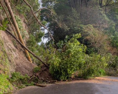 Свалчище причини частично бедствено положение в община Септември