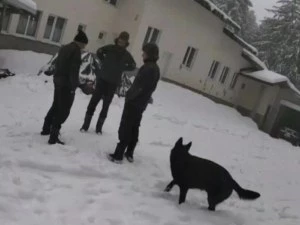 Съдебният медик по случая „Петрохан