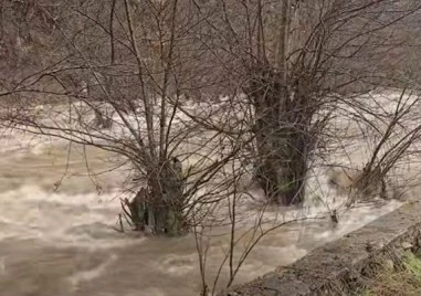 Реките в Смолянско придойдоха, наводнени са къщи, има селища без ток, паднали са камъни по пътища