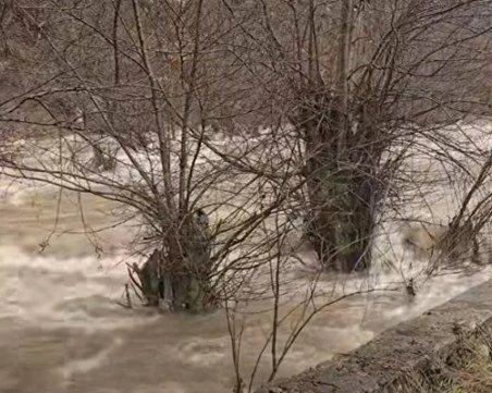 Реките в Смолянско придойдоха, наводнени са къщи, има селища без ток, паднали са камъни по пътища