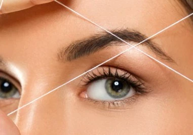 Веждите несъмнено са едни от най забележителните черти на лицето Както