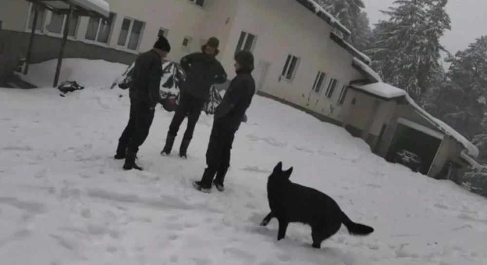 Огромни суми са дадени за автомобилите, които са имали мъжете от Петрохан