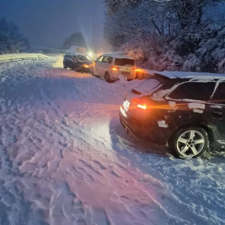 Закъсали коли в Монтанско заради обилен снеговалеж, 31 машини почистват