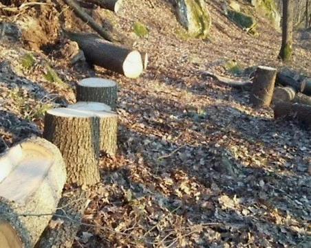 Акция в резерват „Купена