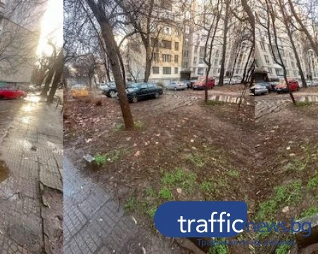 Калище вместо зеленина в Пловдив: Читател сигнализира за безобразно паркиране върху тревата