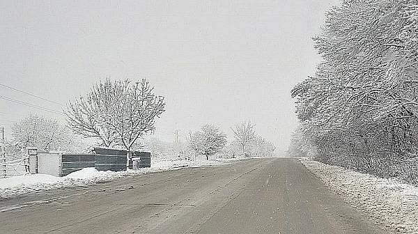 Затвориха Прохода на Републиката заради аварирал тир