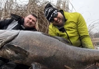 Рибар улови рекордно голям толстолоб край Хасково - над 1,6 метра