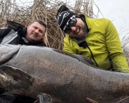 Рибар улови рекордно голям толстолоб край Хасково - над 1,6 метра