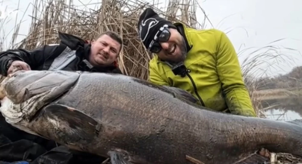 Рибар улови рекордно голям толстолоб край Хасково - над 1,6 метра