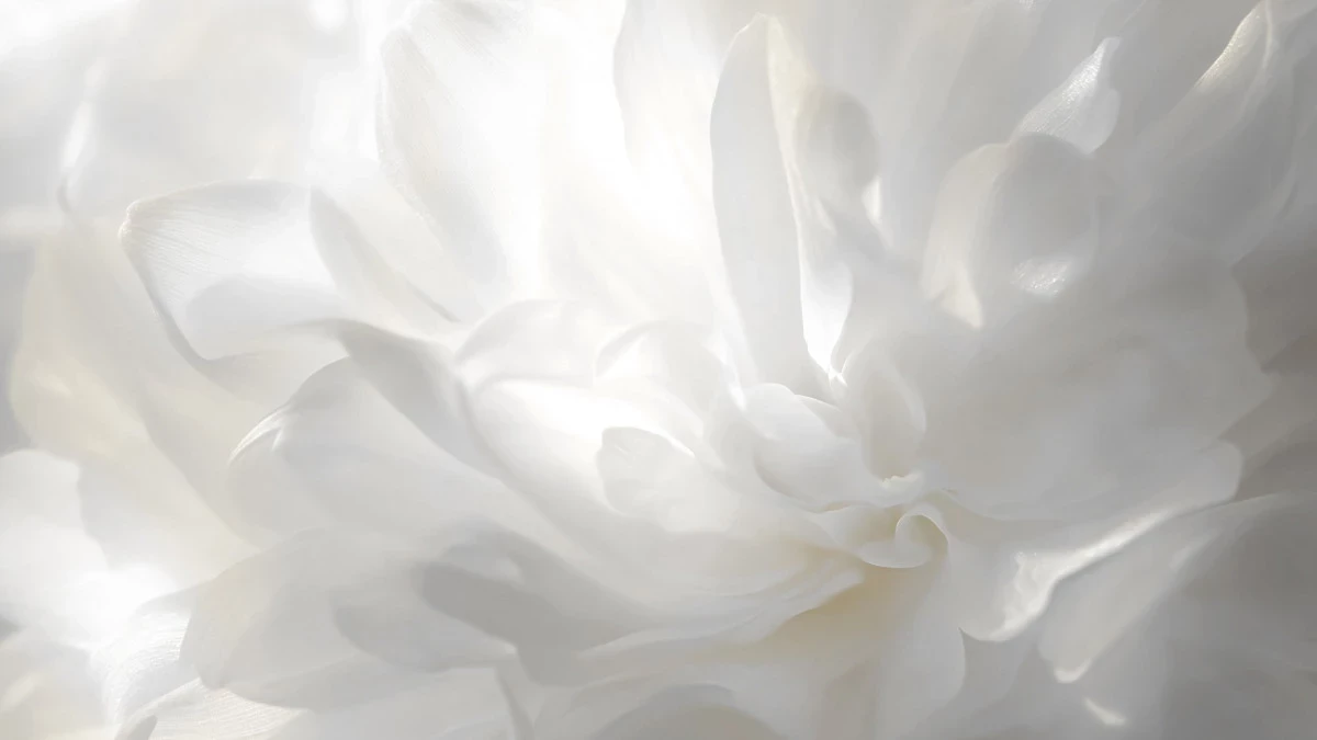 10 трика да наложим 