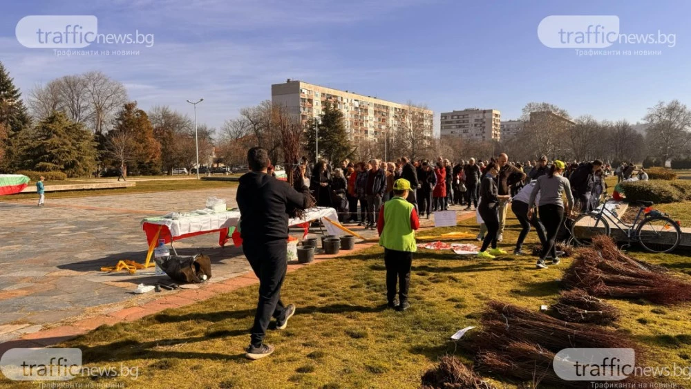 30 000 дръвчета ще бъдат раздадени безплатно в Пловдив тази събота