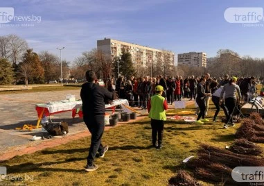 30 000 дръвчета ще бъдат раздадени безплатно в Пловдив тази събота