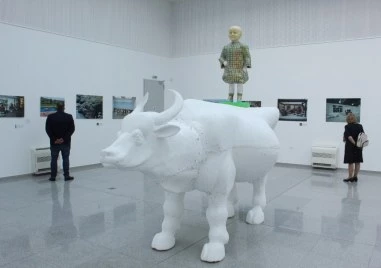 Павел Койчев се завръща в Пловдив с изложбата Общуване