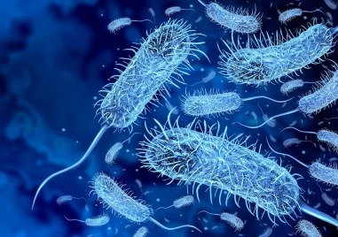 Съживяването на „древните убийци: Бактерии на 5000 години се завръщат