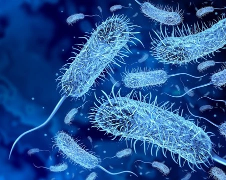 Съживяването на „древните убийци