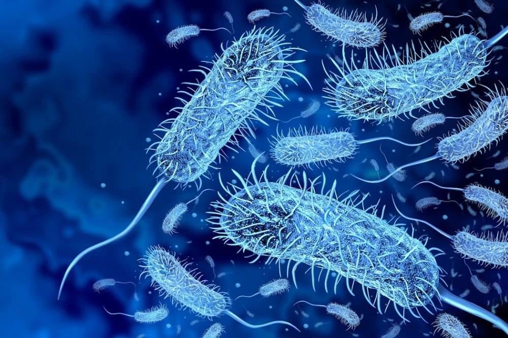 Съживяването на „древните убийци