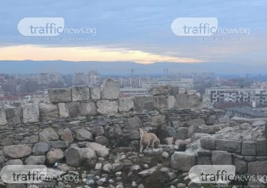 Пловдив е домакин на първия фестивал за градски дизайн