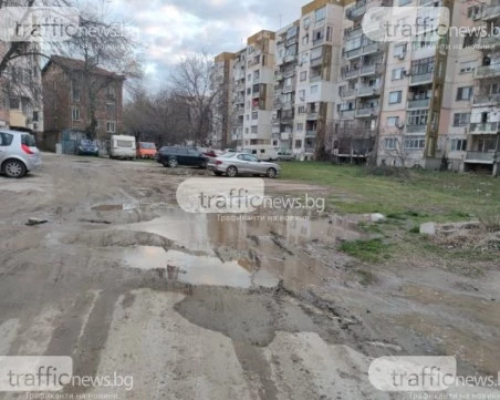 Общината стартира мащабно озеленяване с 3,7 млн. евро, поправя над 40 