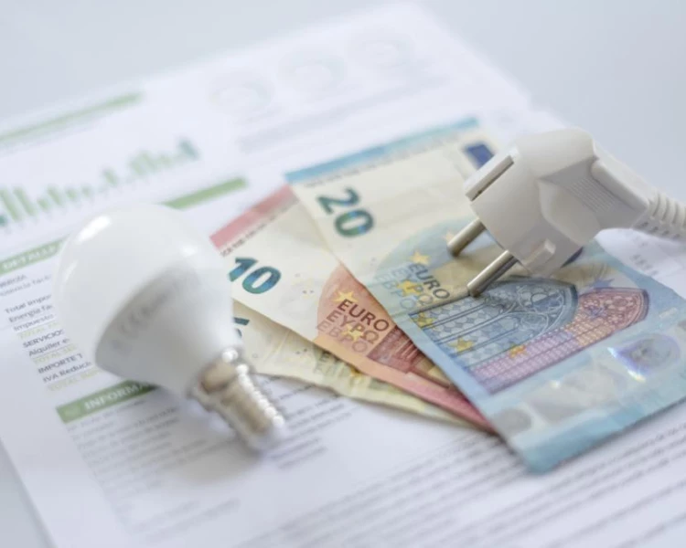 И Катето Евро се оплака от висока сметка за ток през януари, платила 382 евро