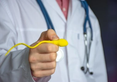 Изненада: Мъжката плодовитост следва сезоните