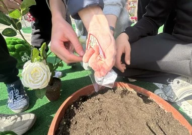 Ученици от пловдивско училище „засадиха мартеници, за да поникне доброто