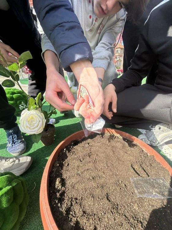 Ученици от пловдивско училище „засадиха