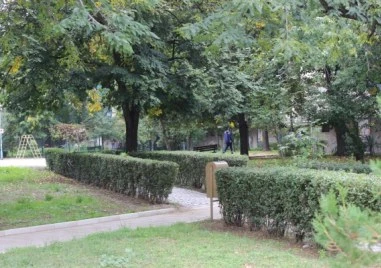 Само две фирми с оферти да правят зелена стена срещу ФПЧ в Пловдив за 1,4 млн. евро