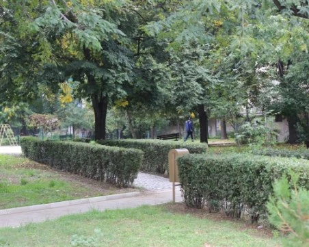 Само две фирми с оферти да правят зелена стена срещу ФПЧ в Пловдив за 1,4 млн. евро