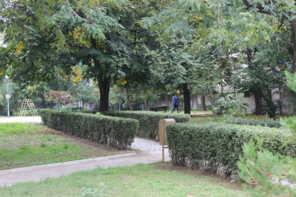 Само две фирми с оферти да правят зелена стена срещу ФПЧ в Пловдив за 1,4 млн. евро