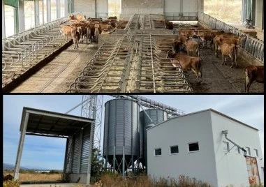 Имоти на бизнесдама от Хисаря отново излизат на търг с намалена цена