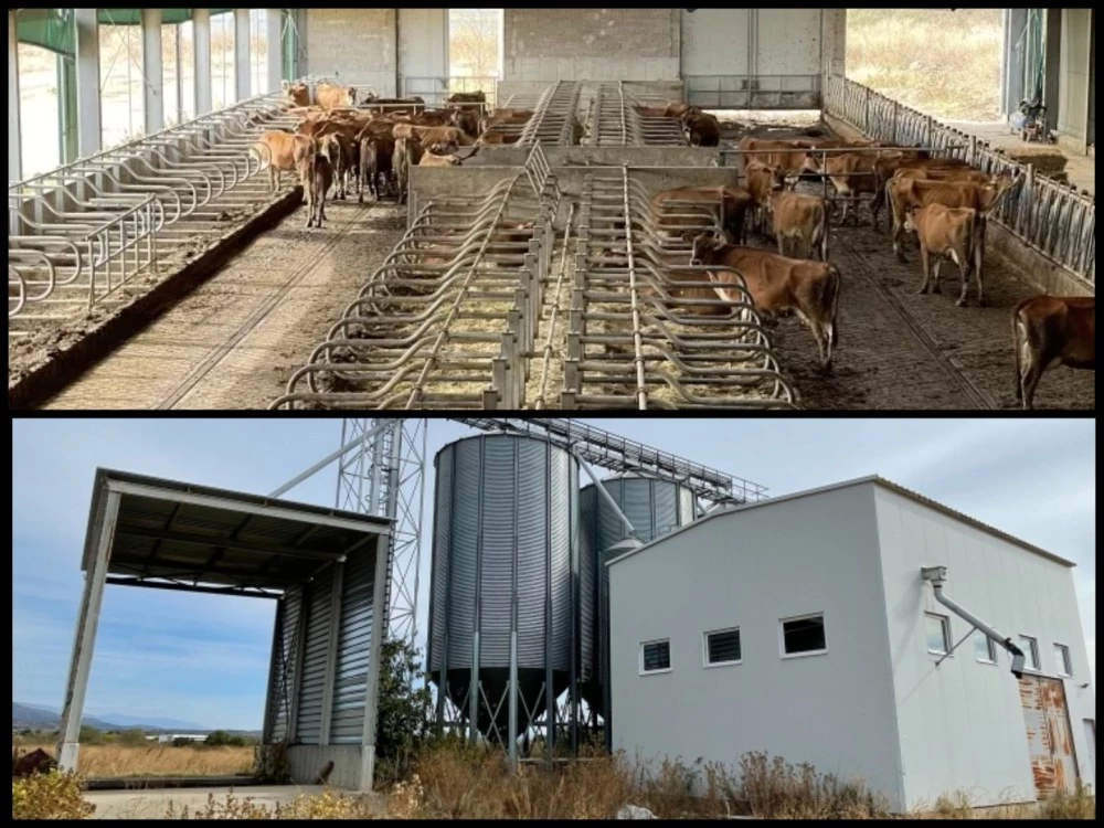 Имоти на бизнесдама от Хисаря отново излизат на търг с намалена цена