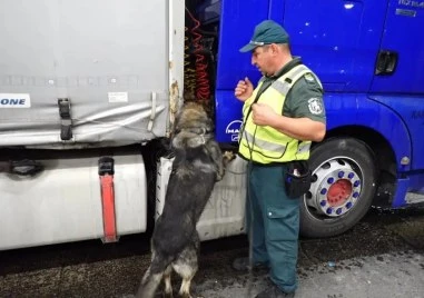 Граничарското куче Пирин откри 46 кг марихуана на Капитан Андреево