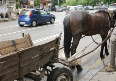 Каруца блъсна жена на пешеходна пътека в Асеновград